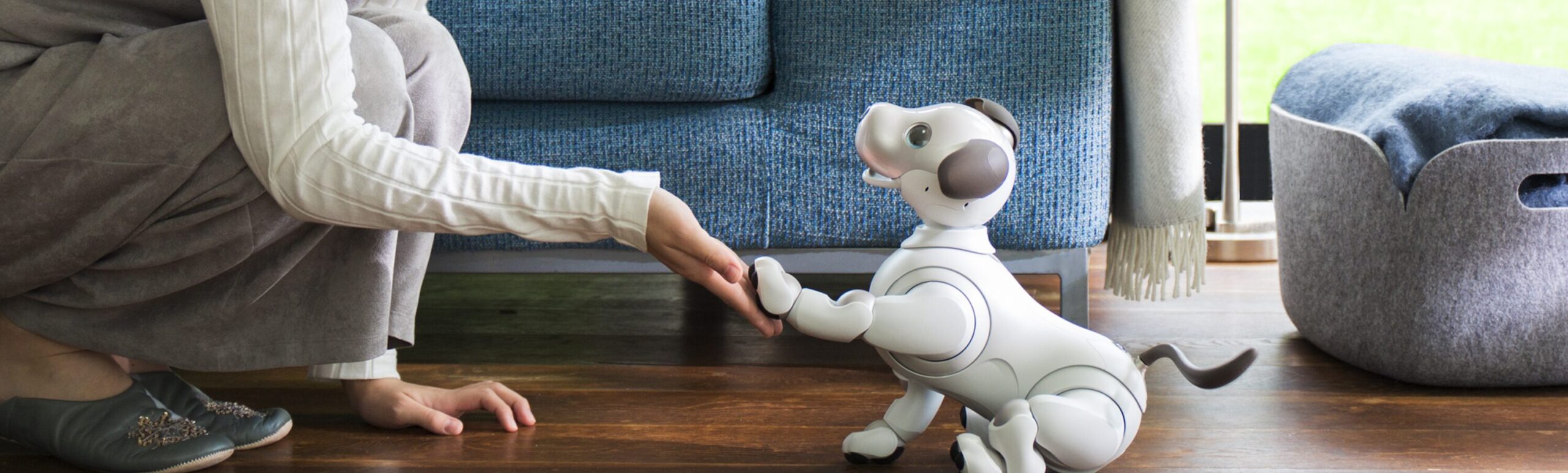 aiboをレンタルしたい！その料金と購入した場合との比較をまとめてみた