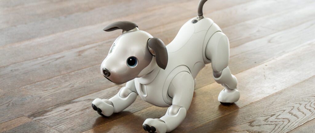 aiboをレンタルするための料金と口コミ